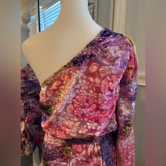 HEMANT & NANDITA Anay Burnout Velvet One shoulder mini dress size Small - Picture 8 of 13